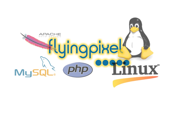 Flying Pixel Web Hosting Service